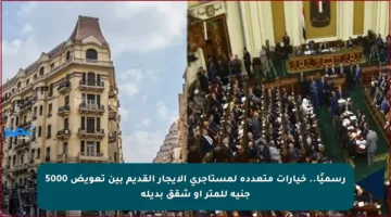 رسميًا.. خيارات متعددة لمستأجري الإيجار القديم بين تعويض 5000 جنيه للمتر أو شقق بديلة